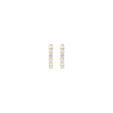 Diamond Hoop Earrings
